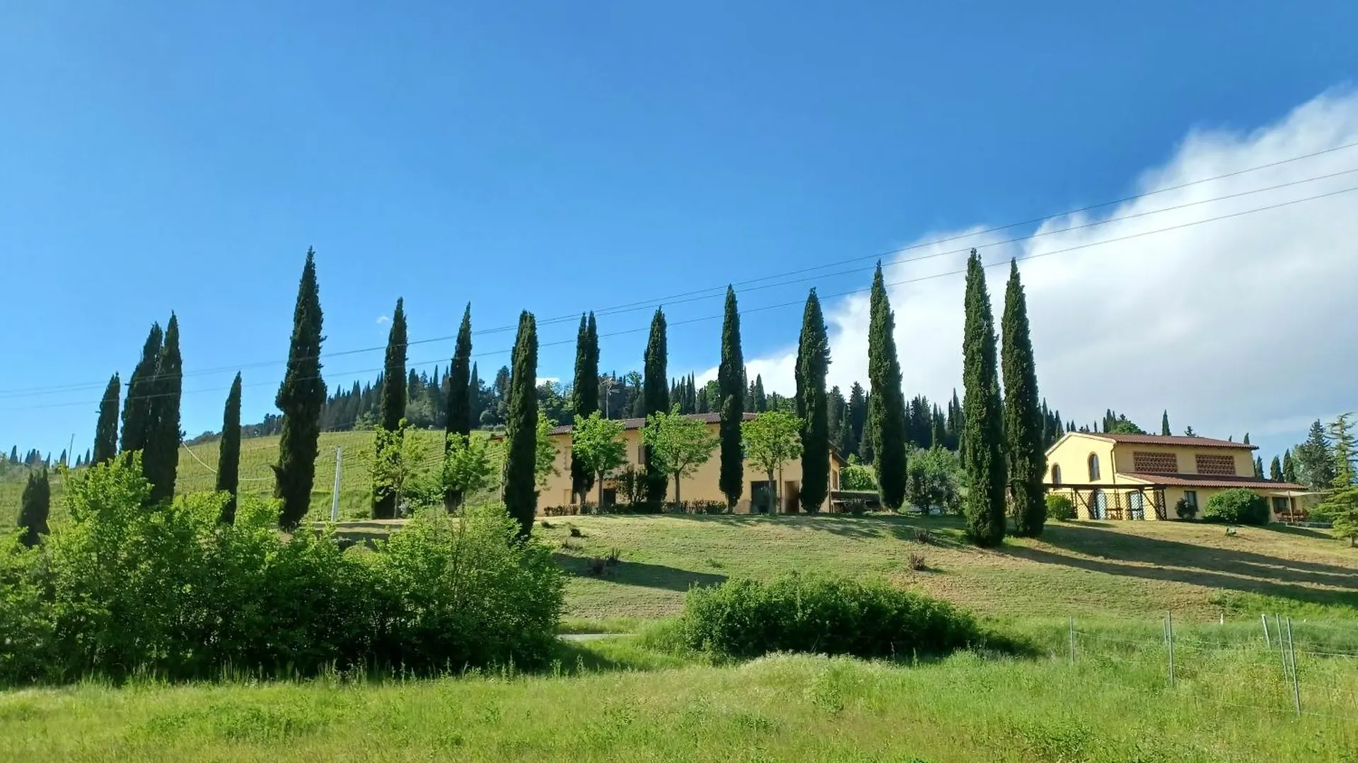 Agriturismo Casa Alla Madonna San Gimignano Gospodarstwo agroturystyczne