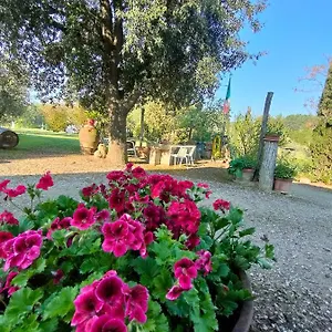 Agroturismo Azienda Agricola Polveraia, San Gimignano